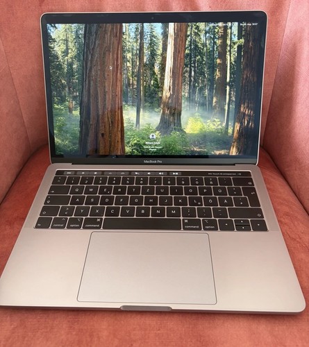 Apple macbook pro - apple, 13