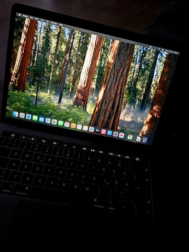 Apple macbook pro - pro, 13